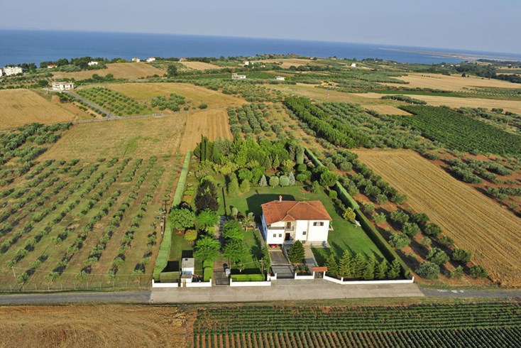 Realty photo 1
