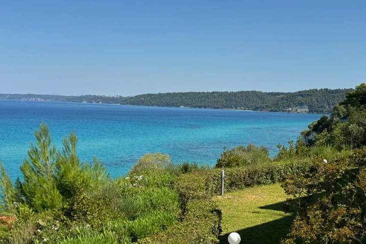Realty photo 1