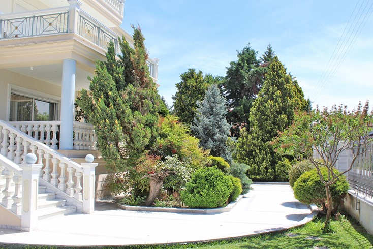 Realty photo 3