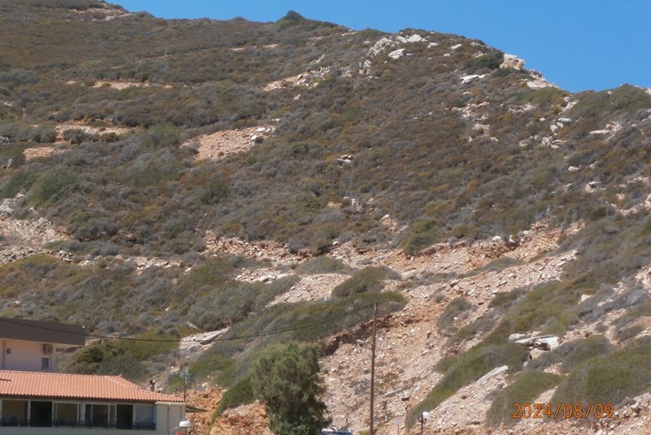 Realty photo 2
