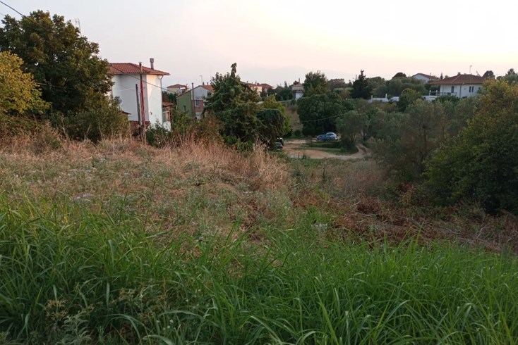 Realty photo 3