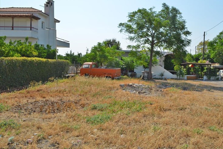 Realty photo 1
