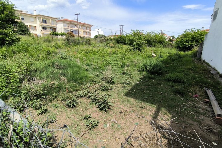 Realty photo 2