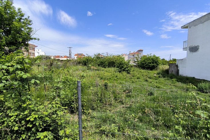 Realty photo 1