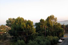 Property 6314 photo 30