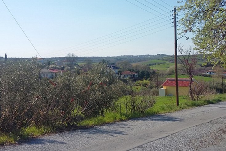 Realty photo 1