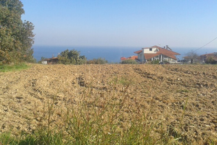 Realty photo 3