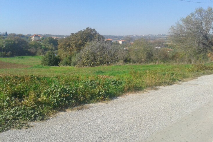 Realty photo 1