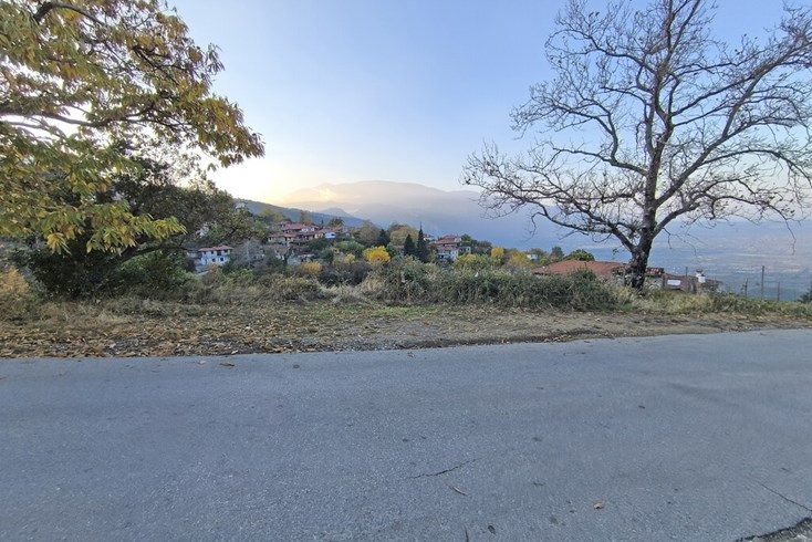 Realty photo 3