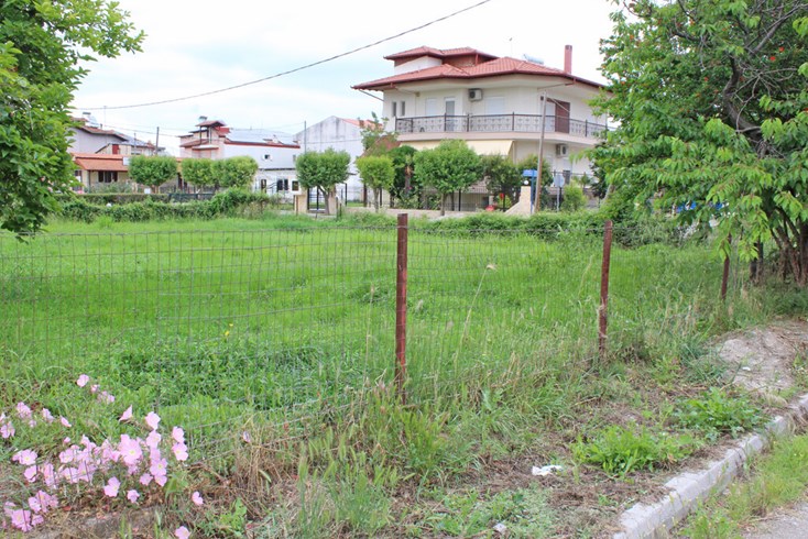 Realty photo 1