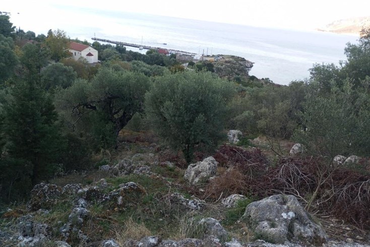 Realty photo 1