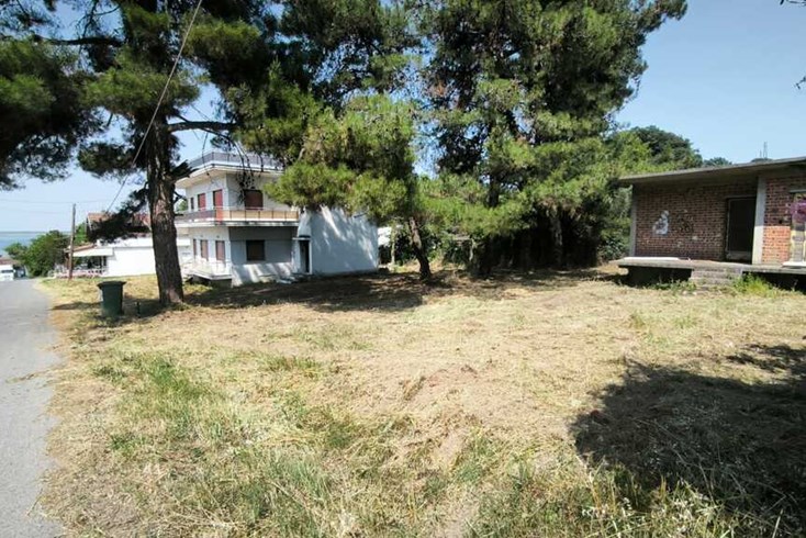 Realty photo 3