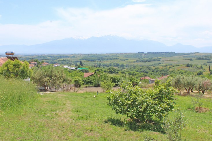 Realty photo 1