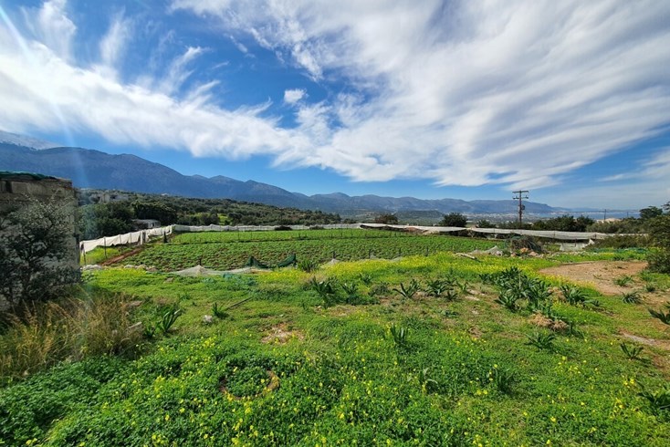 Realty photo 3