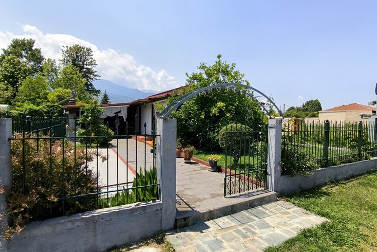 Realty photo 1