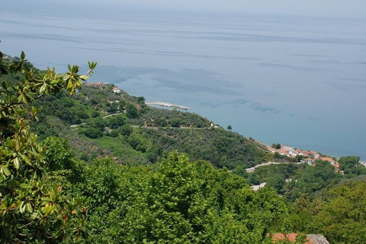 Realty photo 2
