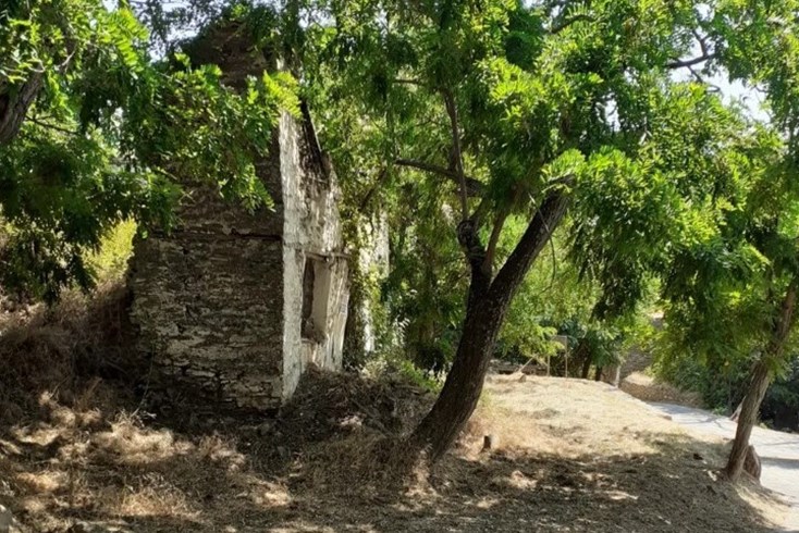 Realty photo 2