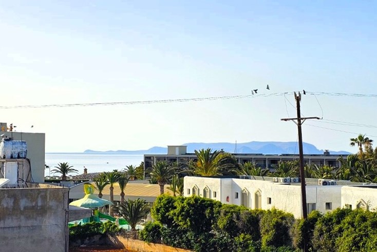 Realty photo 2