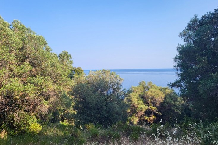 Realty photo 1