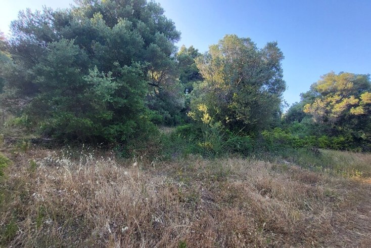 Realty photo 3