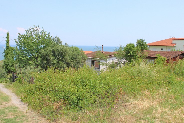 Realty photo 3