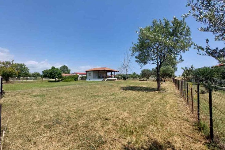 Realty photo 1