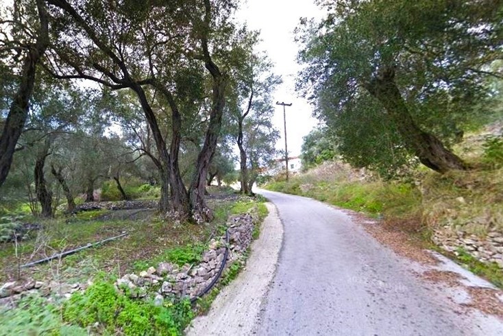 Realty photo 3