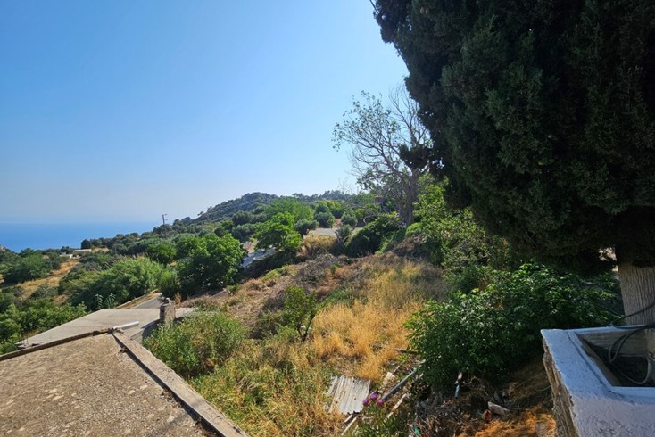 Realty photo 2