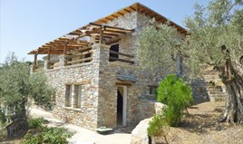 Villa 270 m² in Volos-Pilio