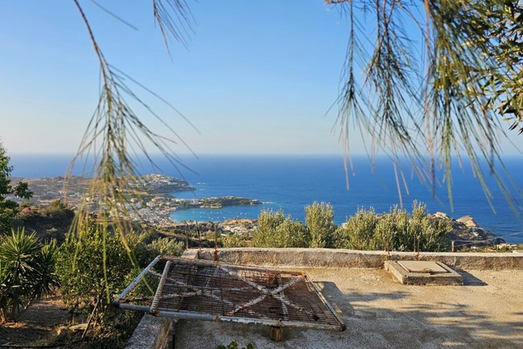 Realty photo 1
