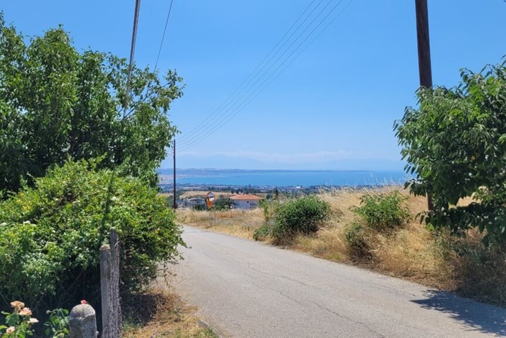 Realty photo 2