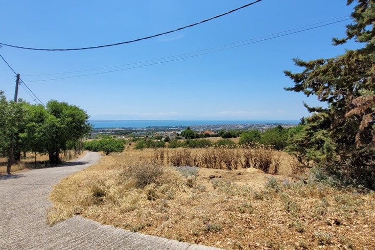 Realty photo 2