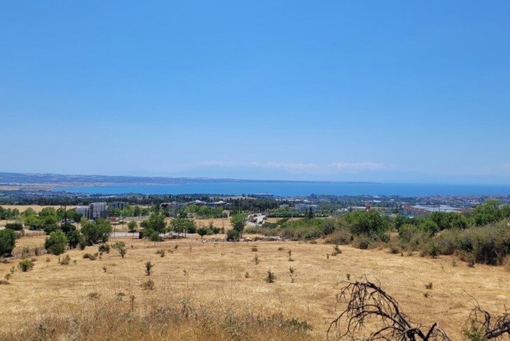 Realty photo 1