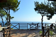 Property 637 photo 24