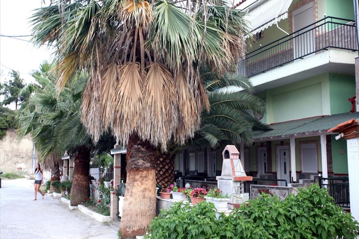 Realty photo 2