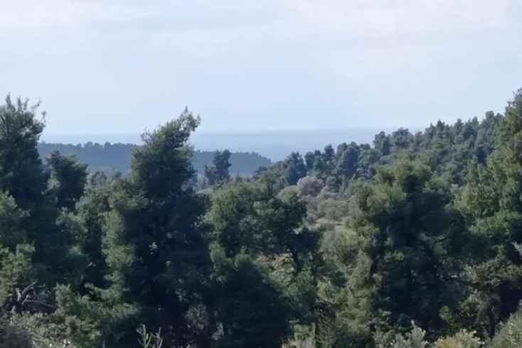 Realty photo 2