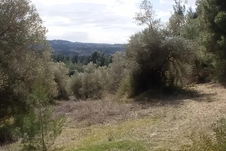Realty photo 3