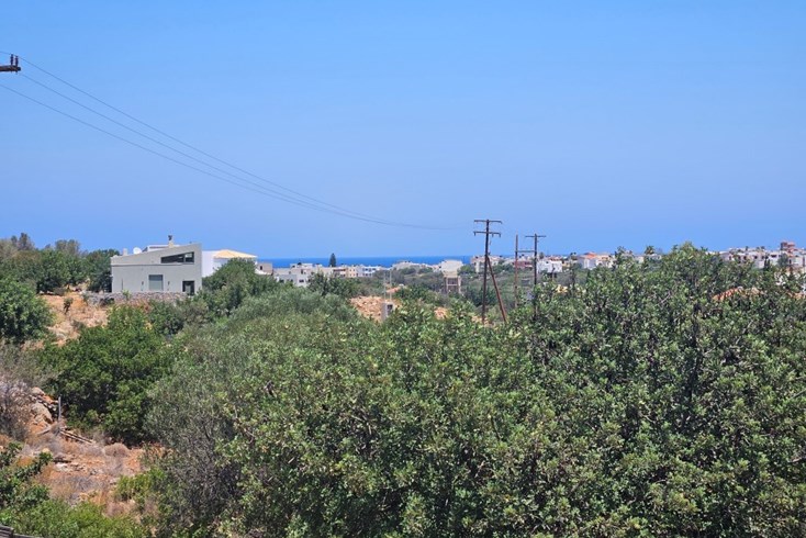 Realty photo 2
