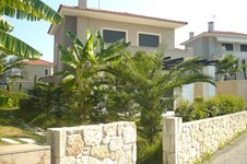 Property 6381 photo 4