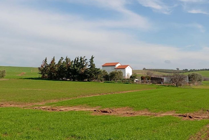 Realty photo 2