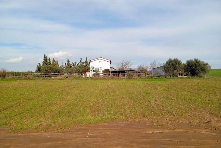 Realty photo 1