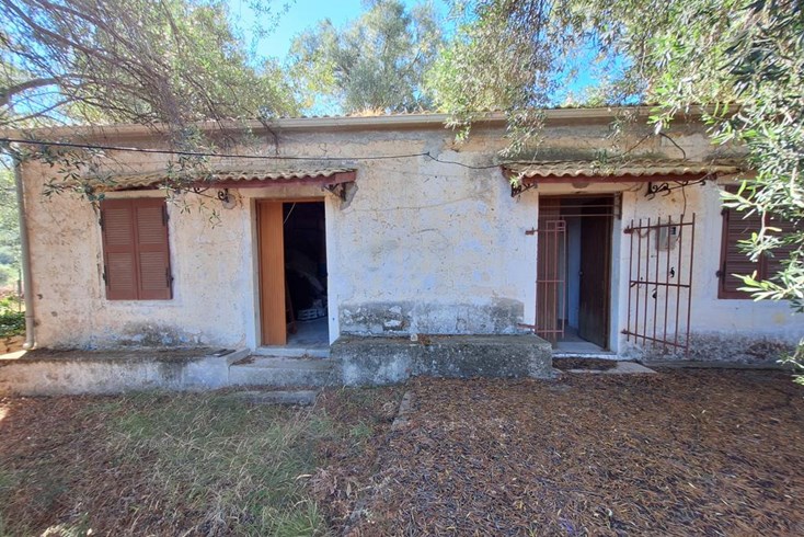 Realty photo 1