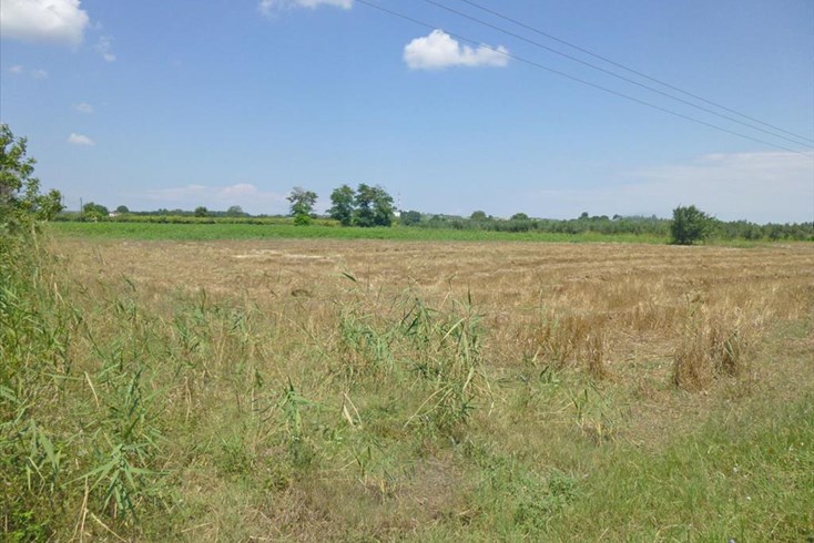 Realty photo 3