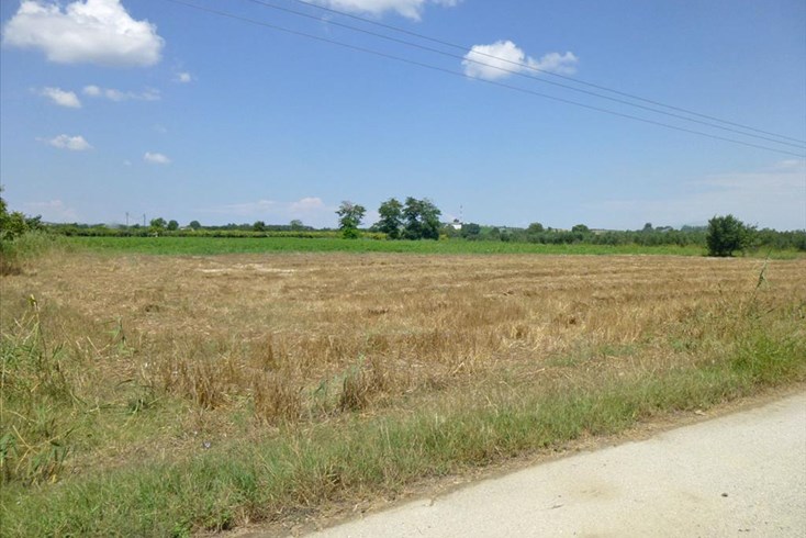 Realty photo 2