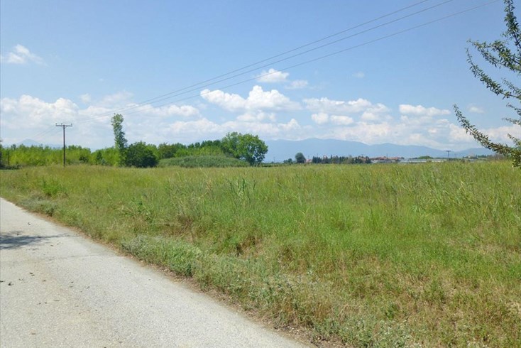 Realty photo 1