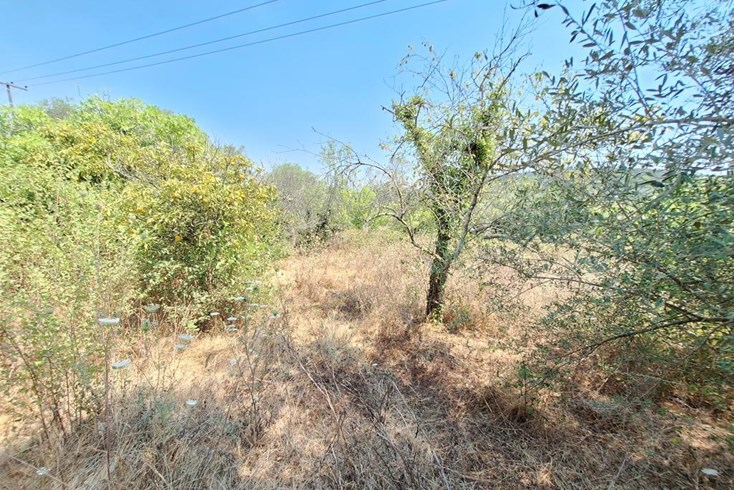 Realty photo 2