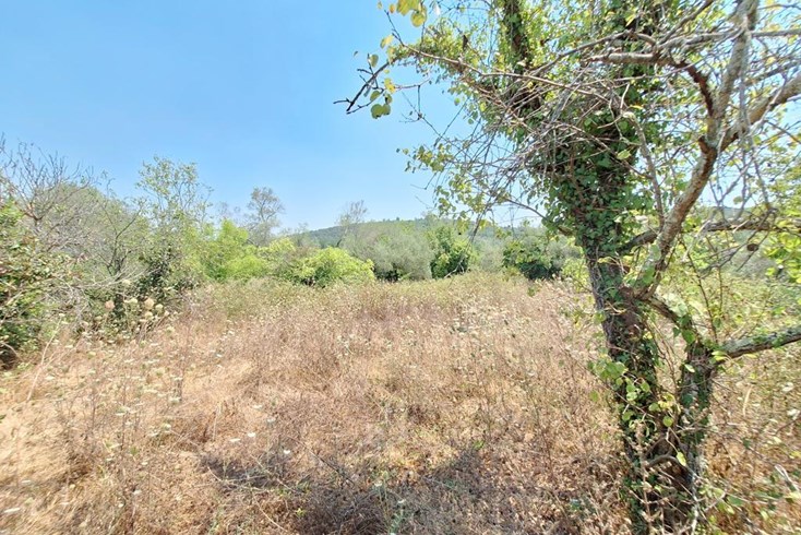 Realty photo 1