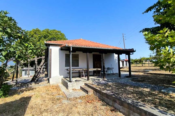 Realty photo 3