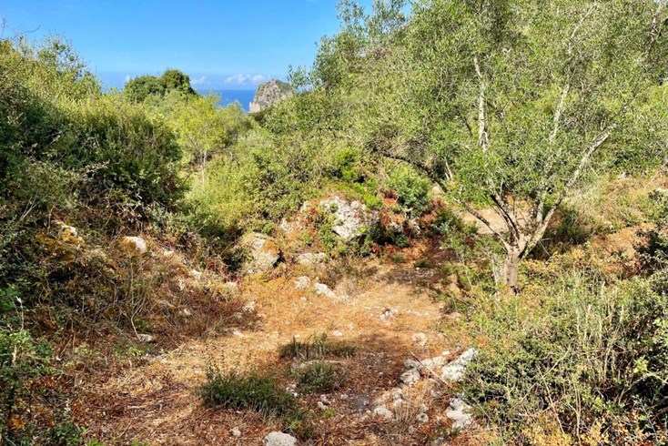 Realty photo 3