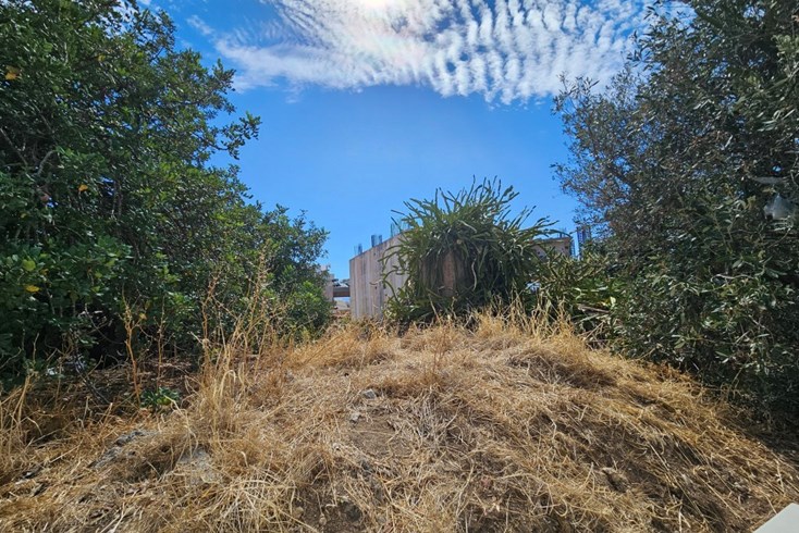 Realty photo 2